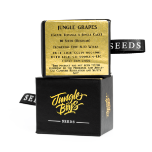 Jungle Boys | Jungle Grapes seeds