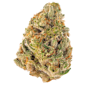 Clementine Strain