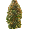 Snowcap Strain