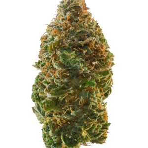 Snowcap Strain