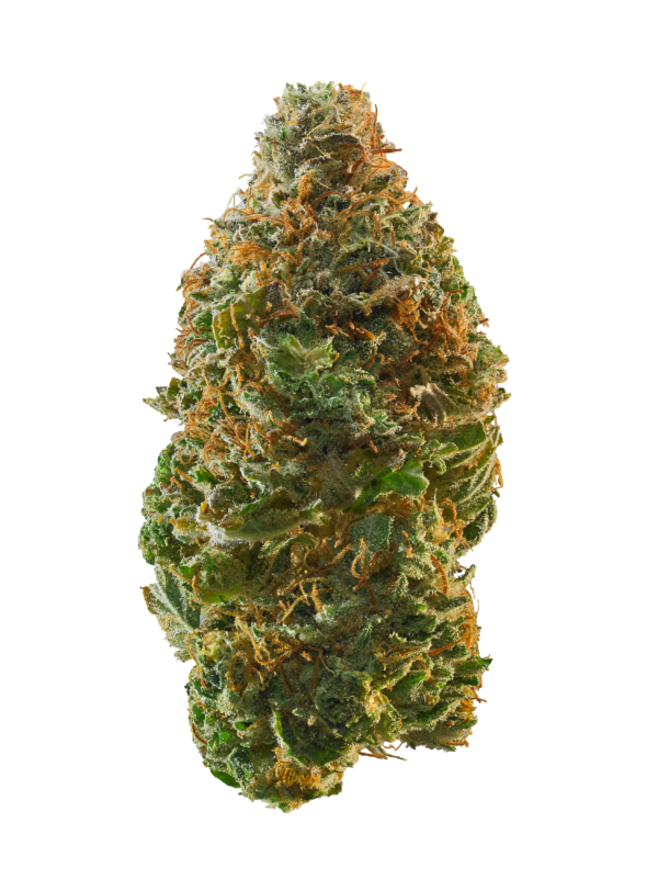 Snowcap Strain