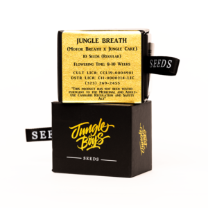 Jungle Boys | Jungle Breath Seeds