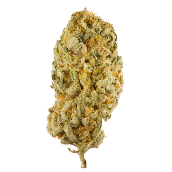 Jack Herer Strain